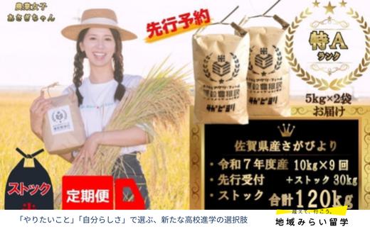 
            【定期便セット】＜令和7年産＞＜先行予約＞佐賀県産さがびより合計120kg 各月10kg×9回お届け&ストック30kg
          