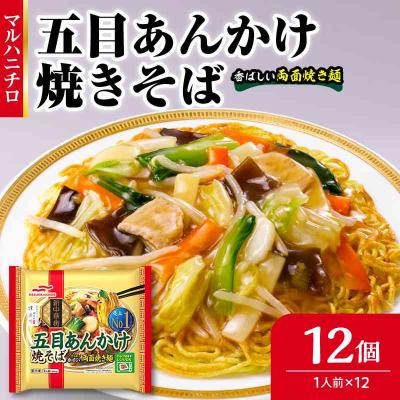 ふるさと納税 大江町 マルハニチロ 冷凍食品 五目あんかけ焼そば 1人前×12個入 045-002