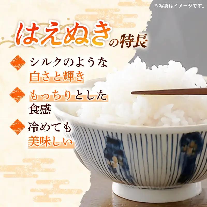 【R7年産米】はえぬき 白米 10㎏(5㎏×2) - 米 ごはん 山形県 飯豊町