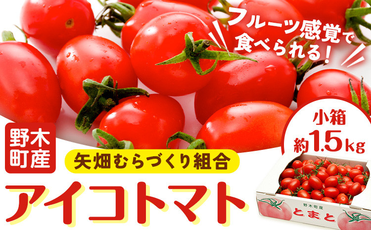 
            【先行予約】アイコ トマト 約1.5kg 小箱 栃木県 野木町産 矢畑むらづくり組合 《2025年10月上旬-2026年6月下旬頃出荷》栃木県 野木町 トマト ミニトマト 野菜 新鮮
          