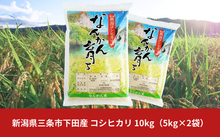 新潟県産コシヒカリ 10kg（5kg×2) 令和6年産コシヒカリ 新米コシヒカリ 三条市産コシヒカリ コシヒカリの玄米を低温倉庫貯蔵し新鮮ないお米を【014S020】