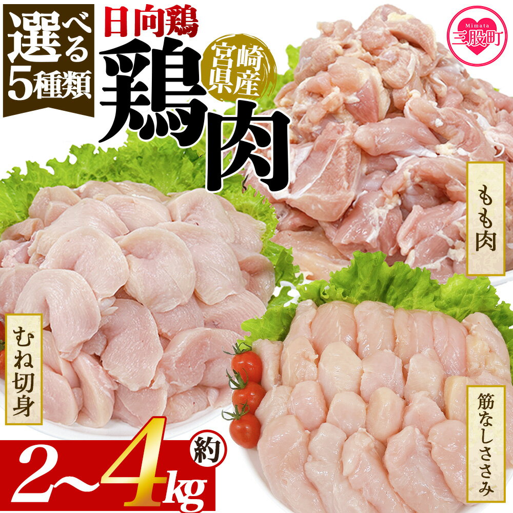 【ふるさと納税】＜選べる5種類 宮崎県産 日向鶏＞ 国産 鶏 肉 精肉 モモ もも肉 使いやすい パック 真空冷凍 切り身 選べる数量 お弁当 惣菜 からあげ 照り焼き 数量限定 BBQ バーベキュー 鶏ムネ 鶏むね 鳥モモ ささみ ササミ 小分け 【MI441-tr】【TRINITY】