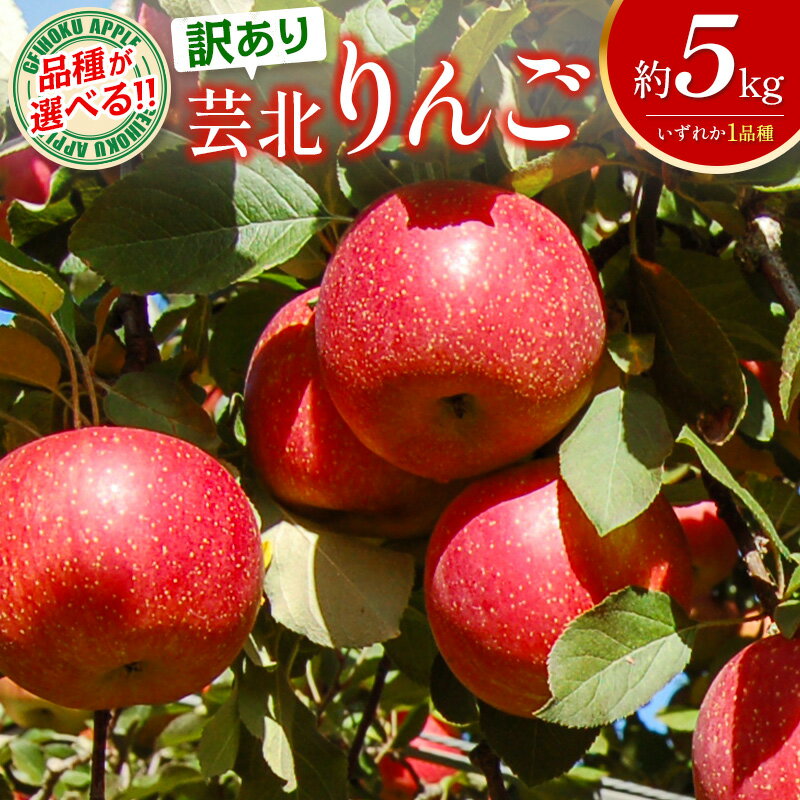【ふるさと納税】りんご 訳あり 5kg 品種が選べる 国産 農家直送 芸北りんご 林檎 つがる 秋映 シナノスイート ぐんま名月 シナノゴールド ふじ