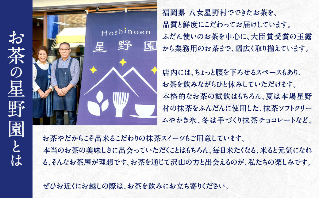 八女市産 星野園特選煎茶 とくめ (100g×5袋) 合計500g 八女茶 緑茶 日本茶 お茶 茶葉 煎茶 国産茶 国産 お茶の星野園