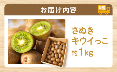 【先行受付】香川県オリジナルキウイフルーツ「さぬきキウイっこ」約1kg【香川県共通返礼品】 | キウイ キウイフルーツ 果物 フルーツ 青果 青果物 さぬきキウイっこ 果実 贈答 贈り物 ギフト 甘い