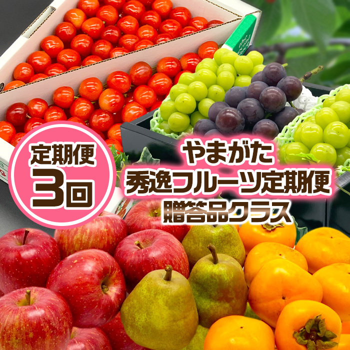 【定期便3回】やまがた秀逸フルーツ 贈答品クラス 【令和8年産先行予約】FS24-532