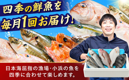 【定期便】全12回(毎月発送)【加福鮮魚】「若狭小浜港産地直送」旬の天然鮮魚お任せセット！[O-015003]