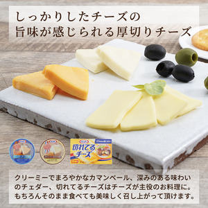 チーズ＆チーズケーキセット 定期便 3ヶ月 クラフトチーズ バラエティ 10個 セット 詰め合わせ カマンベールチーズ クリームチーズ スライスチーズ 乳製品 