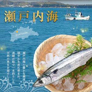 天然 さわらたたき 約300g サワラ 冷凍
