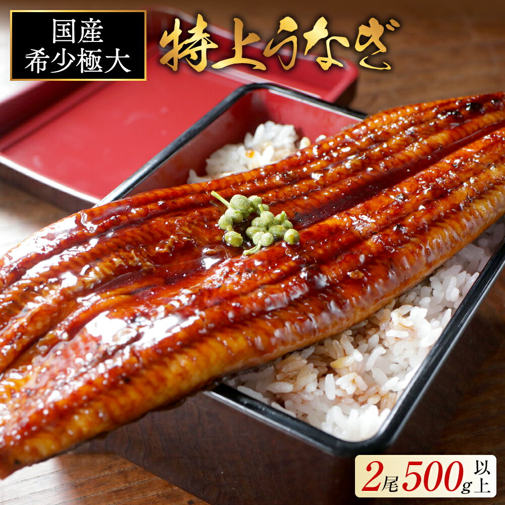 【ふるさと納税】高評価 ★5.0 総合1位 国産 特大 特上うなぎ 250g×2尾 【発送時期が選べる】（ ふるさと納税 うなぎ 国産 うなぎ 美味しい 鰻 ウナギ 蒲焼き 蒲焼 魚 魚介 魚貝 海鮮 うな重 ひつまぶし 蒲焼 ギフト 人気 おすすめ 北海道 別海町 ）