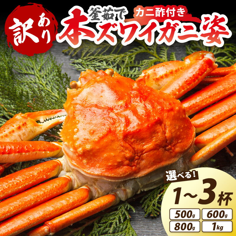 【ふるさと納税】【大好評！カニ酢付き】訳あり！釜茹で！本ずわいがに姿 500g 600g 800g 1kg 1杯 2杯 3杯 選べる 数量 容量 魚介 海鮮 海の幸 釜茹で ボイル ふるさと納税 カニ 訳あり ふるさと納税 ズワイガニ