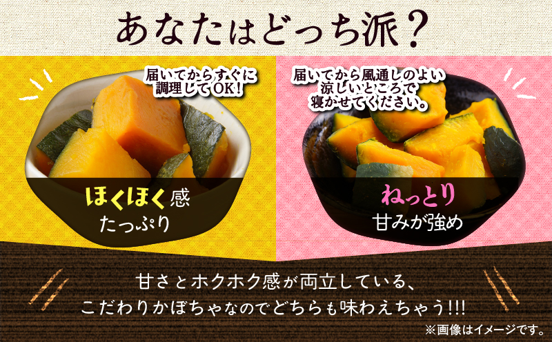 神奈川県三浦市産 三浦こだわりかぼちゃ（3個）　M109-005