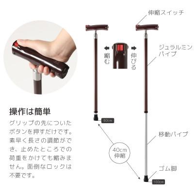 ふるさと納税 羽島市 電動伸縮杖「のび太くん」ワインレッド(WR) |  | 02