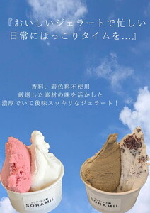 橿原　手作りジェラート12個セット ※離島への配送不可