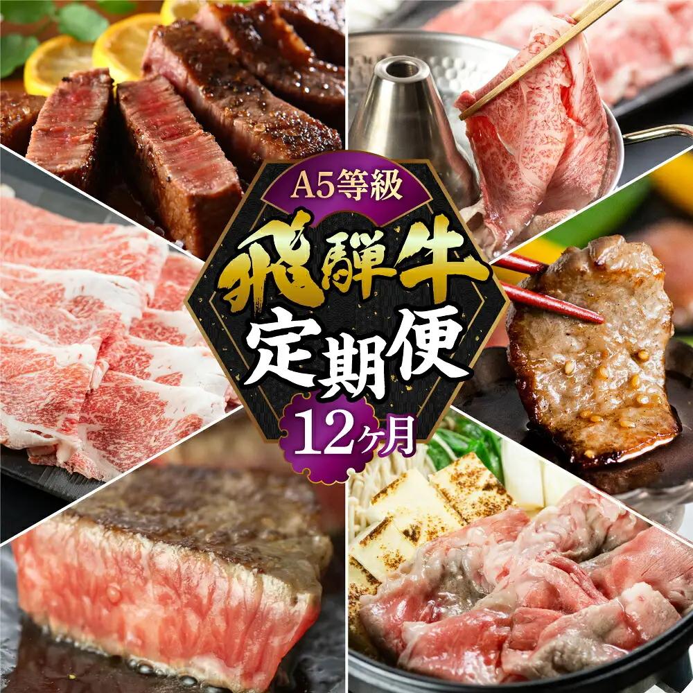 【定期便】A5 飛騨牛 12回 定期便 飛騨牛 トキノ屋食品