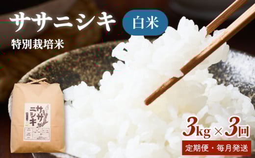 【定期便】特別栽培米 ササニシキ 白米 3kg × 3回 （合計9kg）