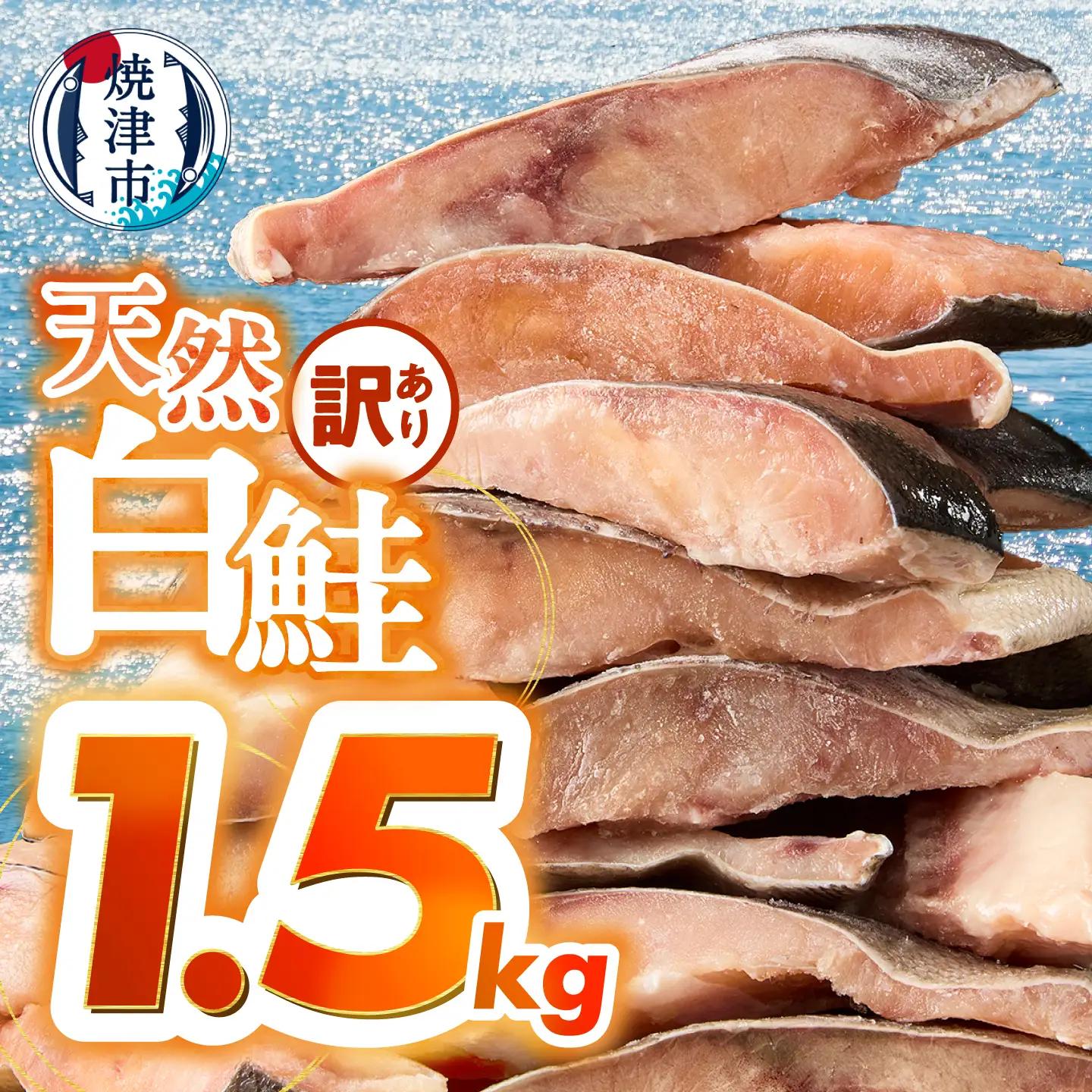 訳あり！天然 白鮭 甘口 切身 約1.5kg バラ凍結 大袋ジッパー (a10-1177d)