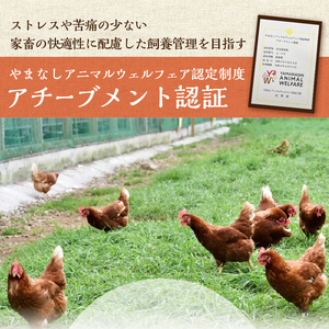 忍野の平飼い放牧卵30個（25個＋割れ保障5個）