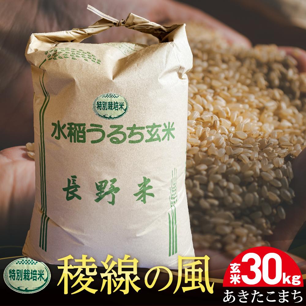 【ふるさと納税】特別栽培米　稜線の風（あきたこまち）玄米 30kg