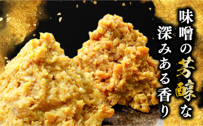 【全3回定期便】【毎日食べても飽きない！創業明治28年から変わらない伝統の味】瀬戸内みそ2種セット＜瀬戸内みそ高森本店＞江田島市 [XBW044]