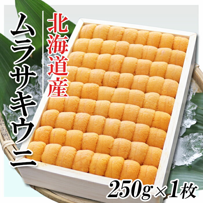 【ふるさと納税】ムラサキウニ250g [7月上旬以降発送]選べる 1折 〜 2折 うに ウニ 雲丹 バフンウニ エゾバフンうに 海鮮 折詰 折り詰め 折詰め