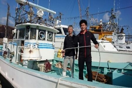 宗像の海の幸！イカのみりん干し3枚セット(1枚あたり:150g前後)_HA1782