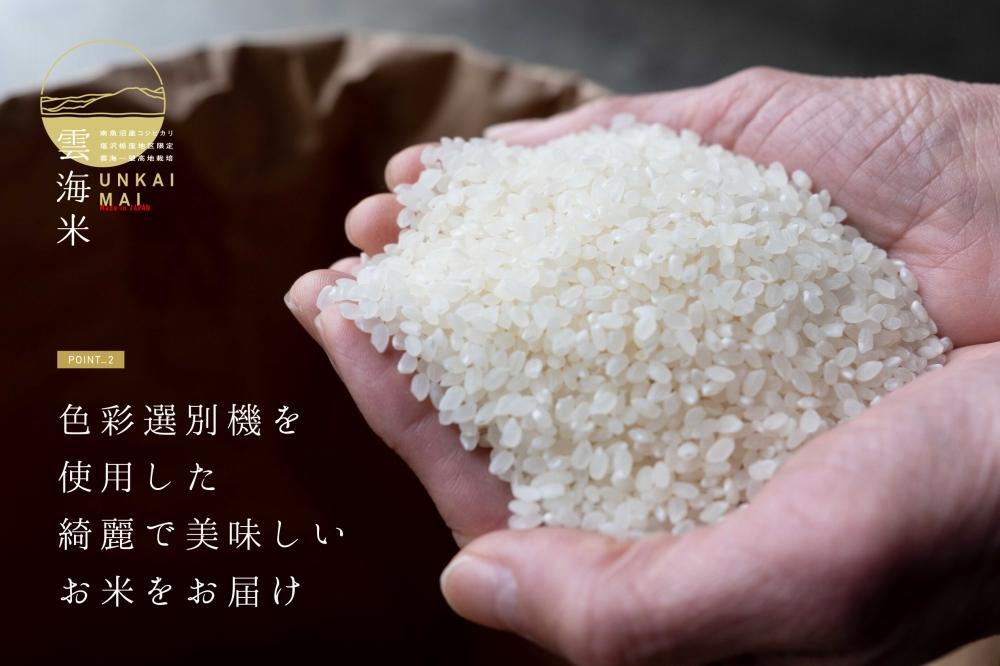 新米予約【令和8年産】【定期便】「雲海米」南魚沼塩沢産コシヒカリ　玄米10kg（5kg x 2） x 全12回【2026年10月上旬から1ヶ月以内に順次発送予定】