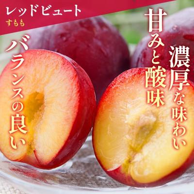 ふるさと納税 笛吹市 【2026年先行予約】すもも 品種おまかせ 6パック 約1.4kg 産地直送 村松農園 笛吹市 |  | 02