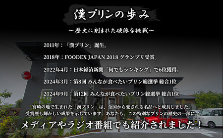 九州男児 漢プリン 4個入り お菓子 デザート スイーツ