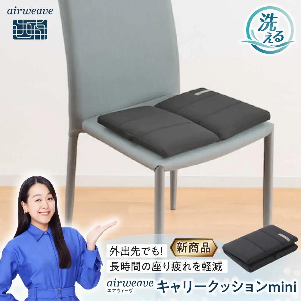 エアウィーヴ キャリークッション mini[AQBV177] エアウィーヴ 新商品