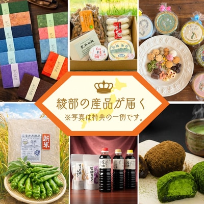 京都・綾部のふるさと応援団「あやべ特別市民」会員券【1091308】