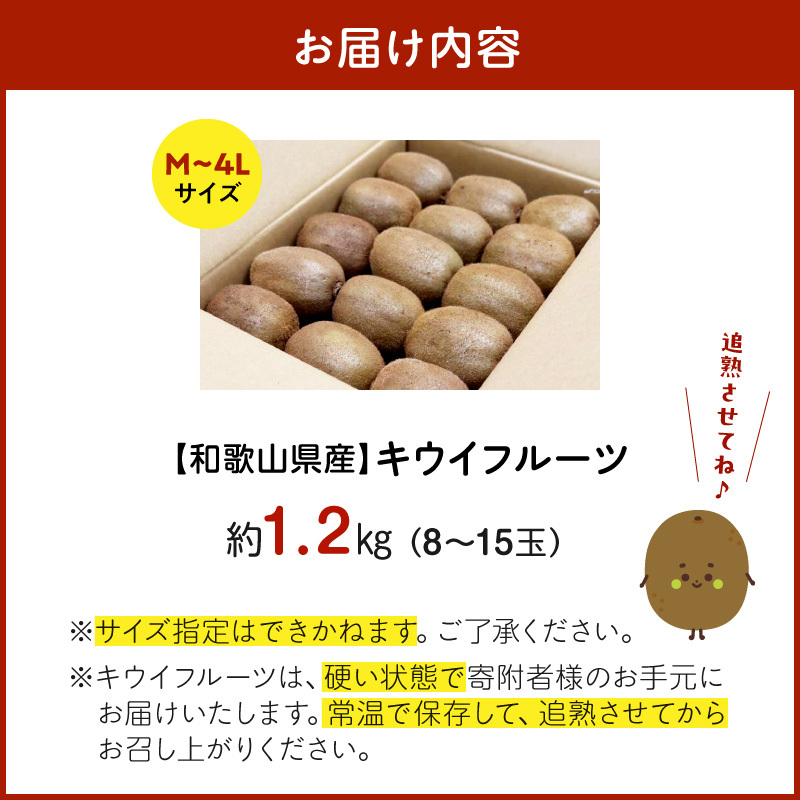 BL6175_【2027年1月下旬から順次発送】和歌山産　キウイフルーツ　約1.2kg　秀品_イメージ3