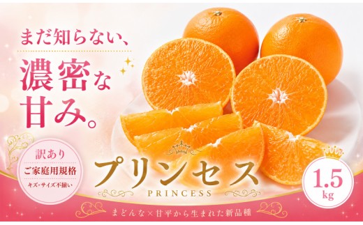 ＜訳あり 愛媛県産プリンセス 合計約1.5kg＞『2027年2月下旬～3月下旬迄に順次出荷予定』 幻の柑橘 希少種 甘い あまい 果汁 果物 くだもの フルーツ みかん オレンジ 柑橘 人気柑橘 特産品 株式会社OSN 愛媛県 西予市 【常温】
