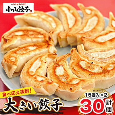 【ふるさと納税】冷凍餃子専門店 小山餃子 大きい餃子 30個_ 餃子 ぎょうざ ギョウザ 冷凍餃子 小山餃子 大きい 美味しい 国産 栃木県 小山市 中華 点心 おかず おつまみ 人気 おすすめ 送料無料 【配送不可地域：離島】【1259608】