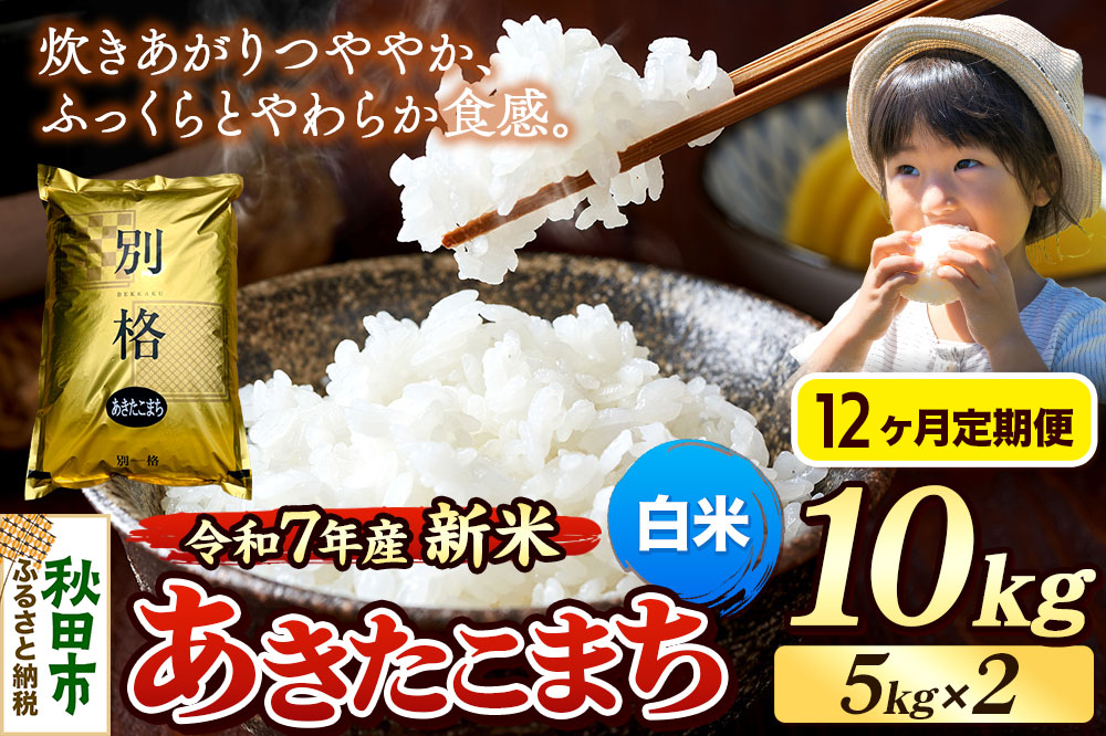 《令和7年産 新米》《定期便12ヶ月》 米 あきたこまち 10kg（5kg×2袋） 【白米】 秋田県産