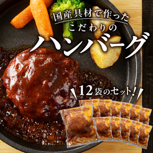 a10-966　デミグラスハンバーグ 140g×12袋（合計1.68Kg） （ハンバーグ 国産具材使用ハンバーグ 焼津ハンバーグ 本格ソースのハンバーグ こだわりハンバーグ ご家庭用ハンバーグ 個包装