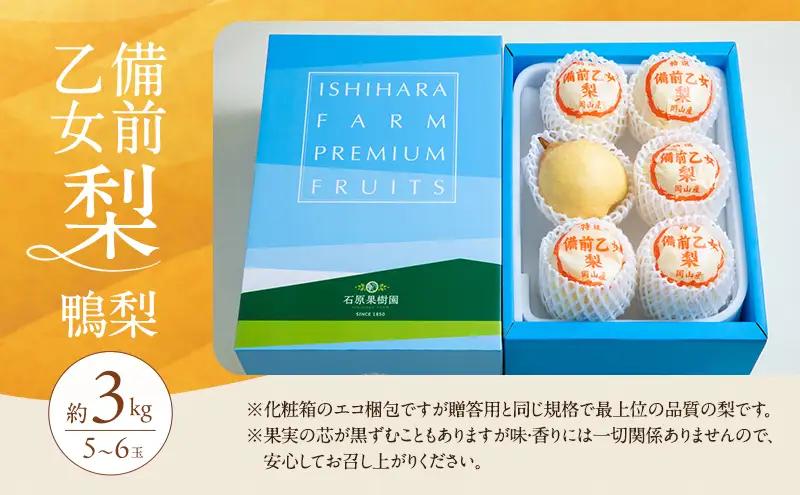 梨 フルーツ 備前乙女梨 鴨梨 岡山県産 梨【5～6玉 約3kg】【先行予約】