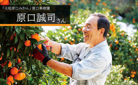 先行予約 幻の原口みかん 約3kg ＜原口果樹園＞[CCW004] みかん