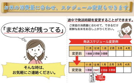 ＜令和7年産米＞ 令和8年7月上旬より発送 こしひかり【無洗米】30kg定期便 (10kg×3回) 山形県真室川町　◆RR7K3010M-M2607A