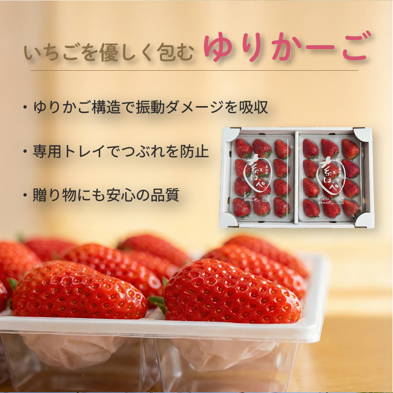 先行予約 いちご 苺 紅ほっぺ 贈答品 4パック：36～54粒 （2027年1月発送開始） | さちのか あきひめ 高級 厳選 こだわり 贅沢 贈り物 ギフト プレゼント 限定 お取り寄せ 旬 甘い 