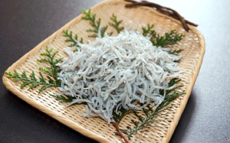 中野海産のちりめん 1kg ちりめん