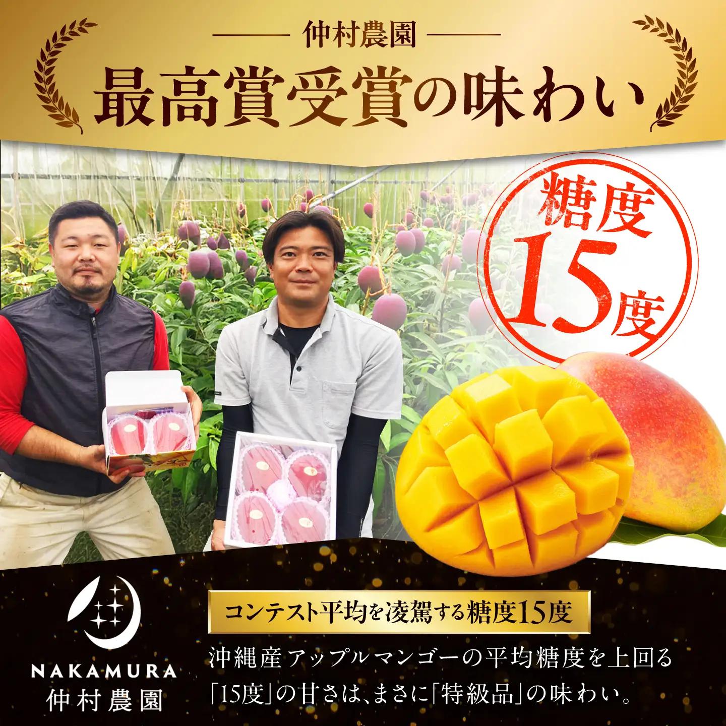 【2027年発送 先行予約】 マンゴー 訳あり 2kg マンゴー BCCU003