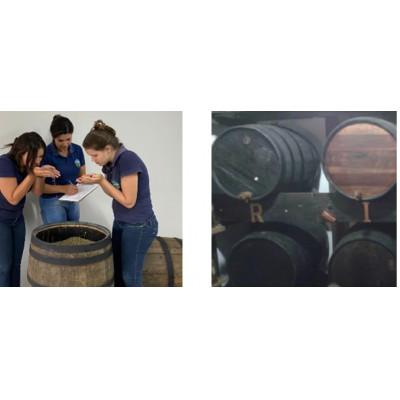 ふるさと納税 茨木市 ブルーマウンテンNo1ハーフブレンドとウィスキー樽熟成バレルエイジド 計400g |  | 01