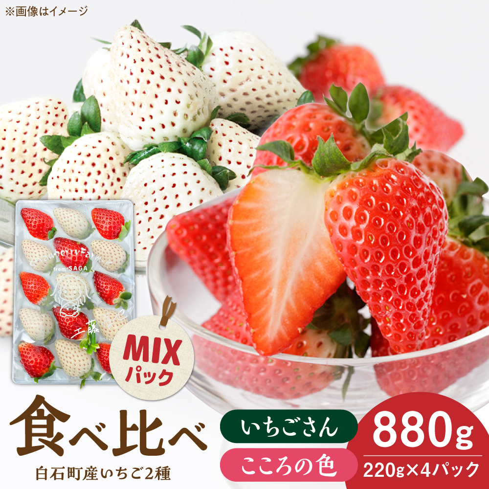 【2026年1月以降発送】こころの色×いちごさんミックス 紅白いちごセット 計880g（220g×4パック） 【strawberryfarm-k】 紅白いちご 希少 いちご 果物 フルーツ いちごさん セット [IBJ027]