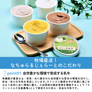 ジェラート 定期便 8個入 3回 ミルク チョコ ブルーベリー チーズ ピスタチオ 塩 キャラメル 塩キャラメル アイス ジェラート セット 季節 限定 季節限定 てづくり なちゅらるじぇらーと なか