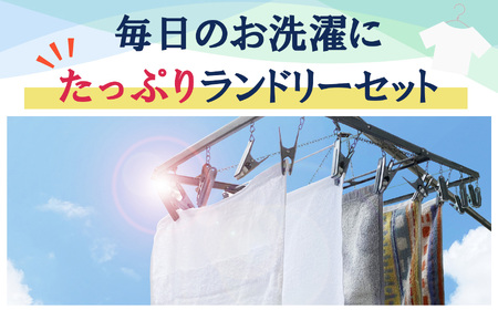 衣料用液体柔軟剤フレグランスフローラルソフタートロピカルローズ詰替24個セット