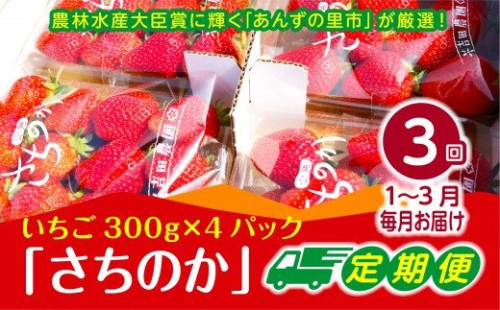 【2026年1～3月発送】【3ヶ月定期便】「さちのか」いちご　約300g×4Pを3回お届け[G7007]