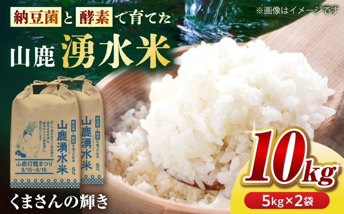〈令和7年度産米〉 こば農園のお米 くまさんの輝き 『山鹿湧水米』 白米 10kg 【合同会社 こば農園】 令和7年産 [ZFO003]