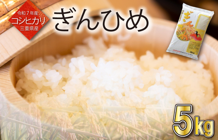 三重県産 コシヒカリ ぎんひめ 精米 5kg×1袋 （ 合計 5kg ) ふるさと納税 ふるさと 米 コメ こめ おこめ ギフト プレゼント 贈答 贈り物 御祝い お祝い返礼品 人気 お取り寄せ 三重米 お米 新米 白米 ブランド米 ふるさと納税 ふ