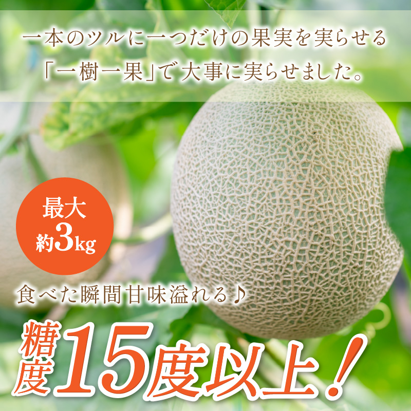 【0926-3】やまの農園　感謝のメロン～一期一会「べんけい」～（先行予約2025年7月中旬より順次発送予定）